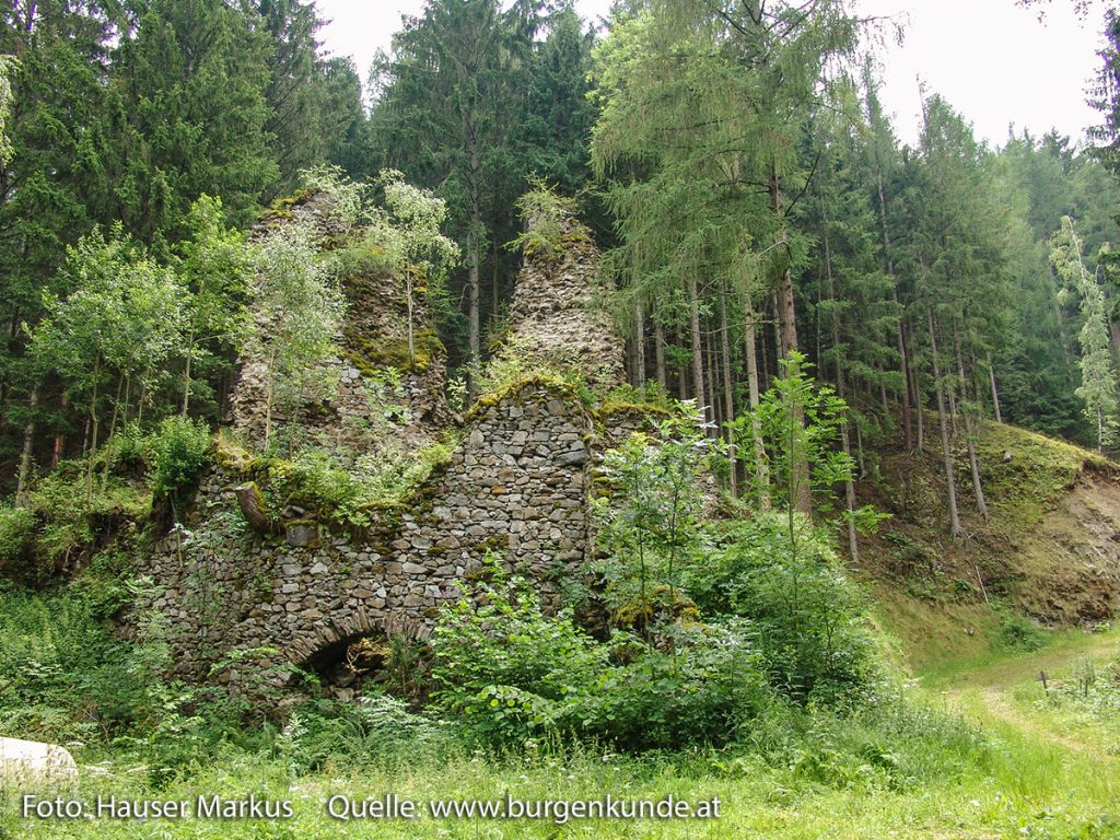 Schlossruine Reichenfels Bezirk Wolfsberg Kärnten