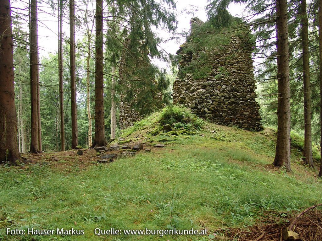 Schlossruine Reichenfels Bezirk Wolfsberg Kärnten