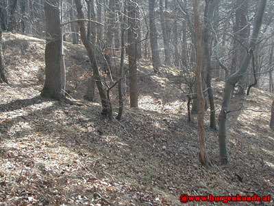 Ruine Kammerstein