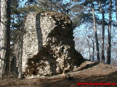 Ruine Kammerstein