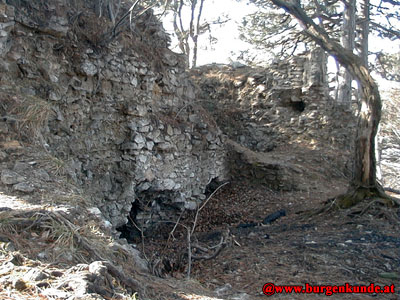 Ruine Kammerstein