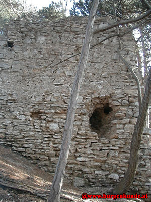 Ruine Kammerstein