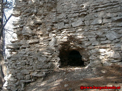 Ruine Kammerstein