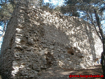 Ruine Kammerstein