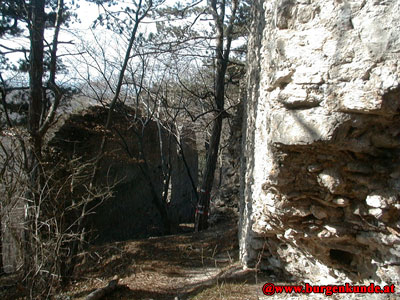 Ruine Kammerstein