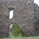 Ruine Schwarzau